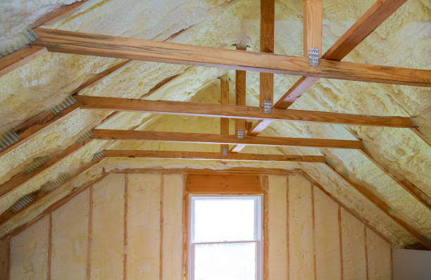 Best Local Insulation Services  in Imlay City, MI