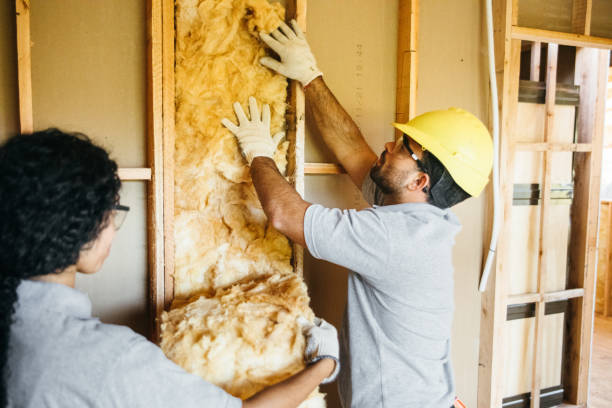 Best Insulation Contractors for Homes  in Imlay City, MI