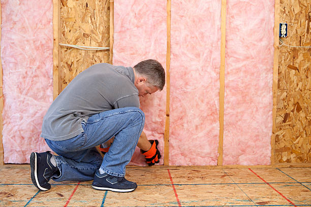 Professional Insulation Contractor in Imlay City, MI